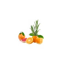 Vitalitás illóolaj keverék: grape-fruit, narancs és rozmaring olajokkal (10ml) Vitalitás illóolaj keverék: grape-fruit, narancs és rozmaring olajokkal (10ml)